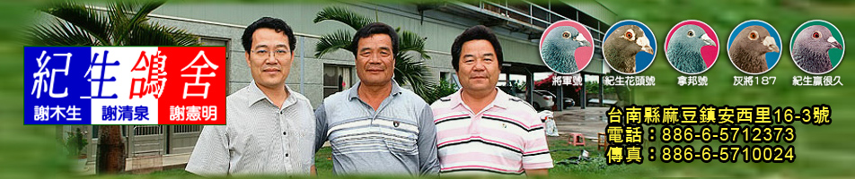 百戰雄師-紀生鴿舍