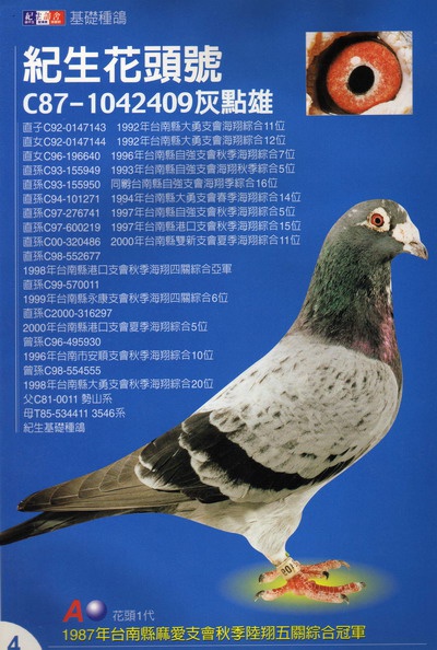 C87-1042409 灰點 ♂