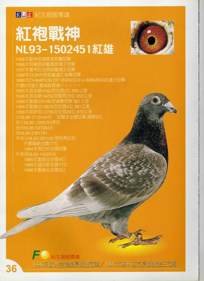 NL93-1502451 紅 ♂