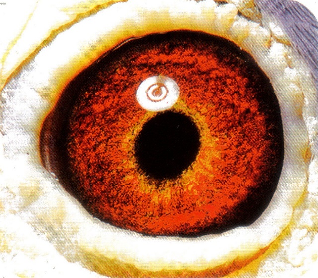 �{�q��q��--��